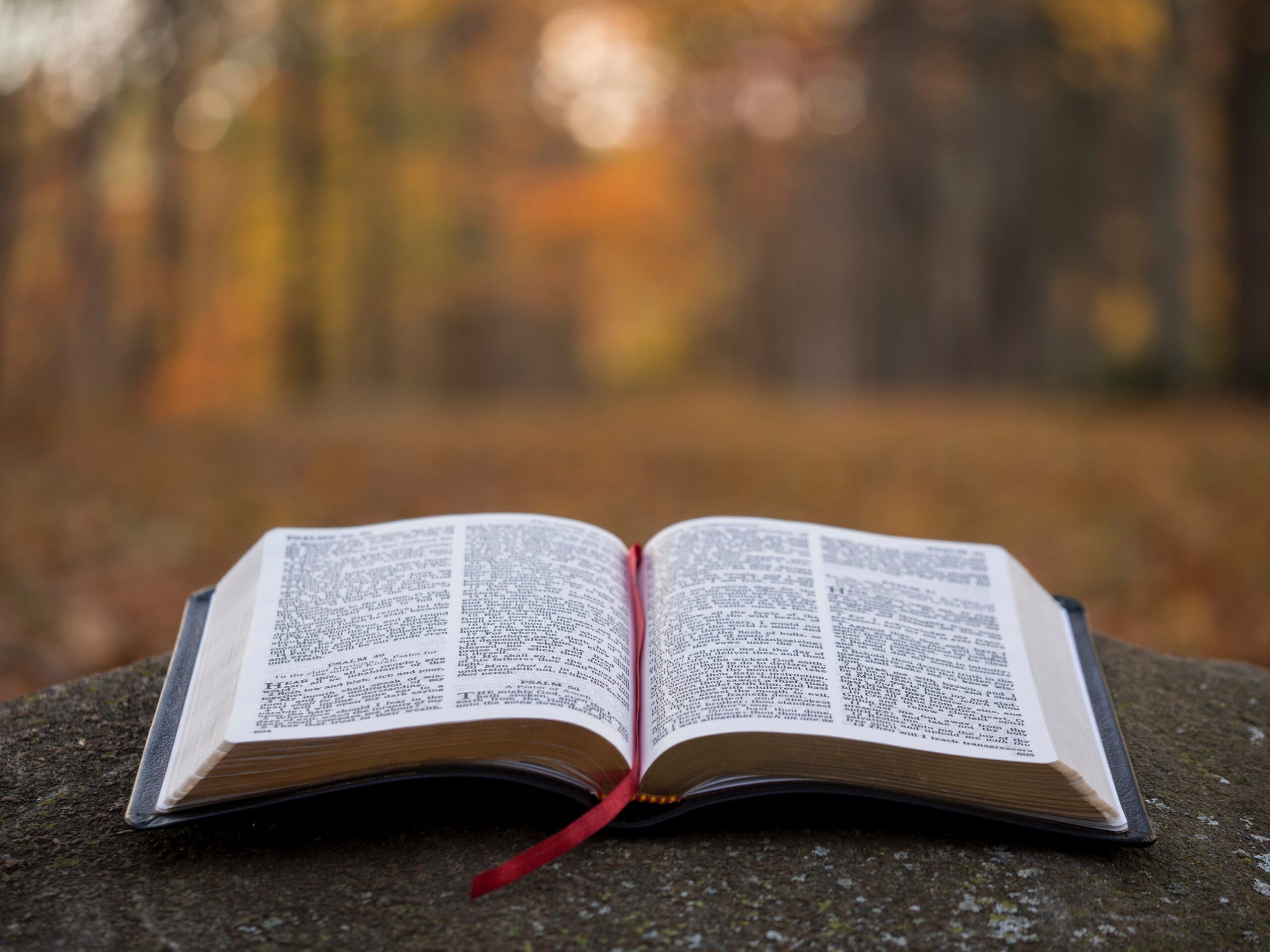 A bible lays open for worship in an outdoor setting
