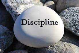 rock with word discipline on it