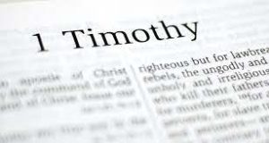bible displays 1 timothy
